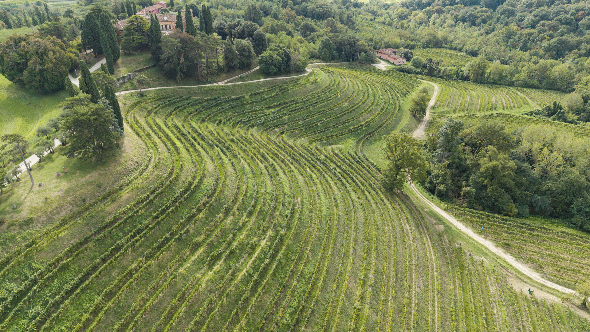 Ponca in the Colli Orientali: the soil that gives Rocca Bernarda’s wines their character